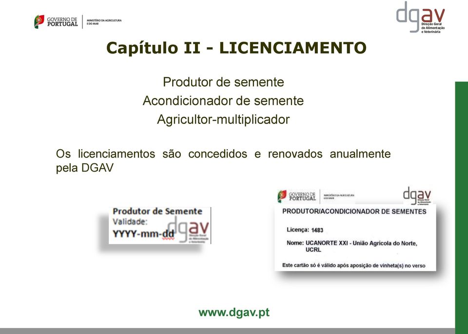 semente Agricultor-multiplicador Os