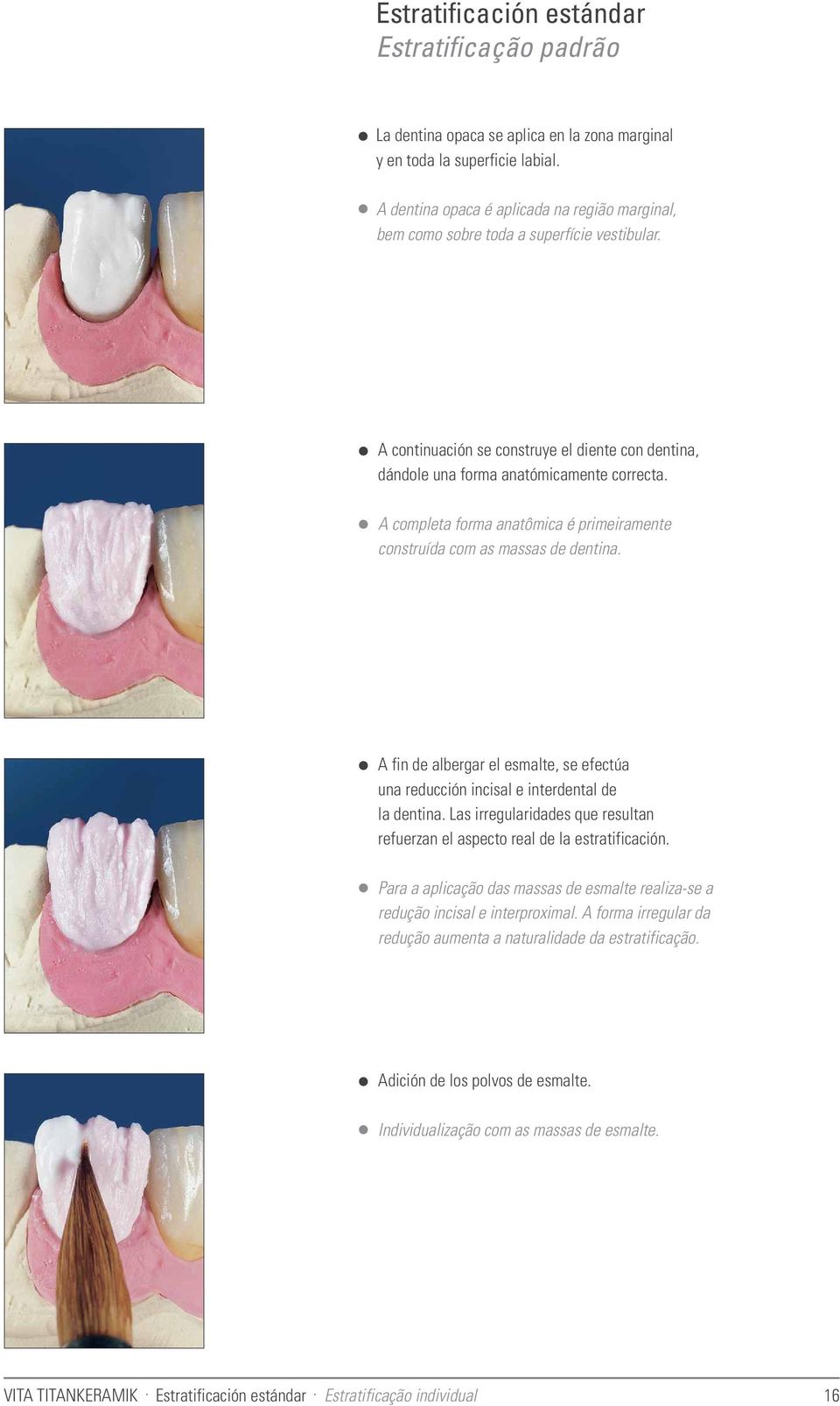 A completa forma anatômica é primeiramente construída com as massas de dentina. A fin de albergar el esmalte, se efectúa una reducción incisal e interdental de la dentina.