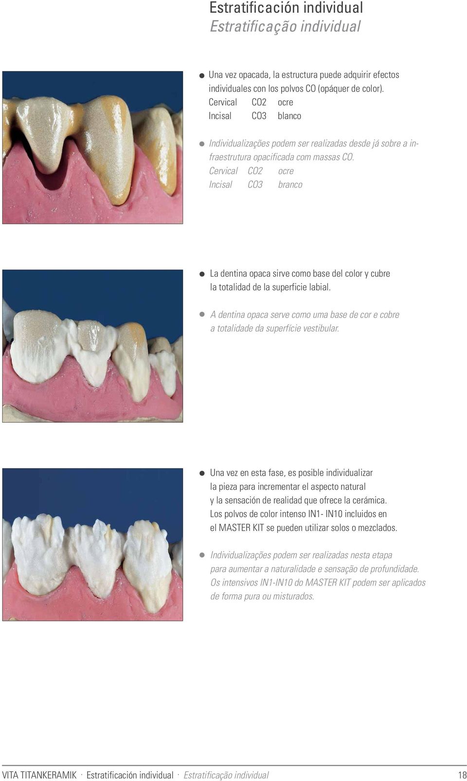 Cervical CO2 ocre Incisal CO3 branco La dentina opaca sirve como base del color y cubre la totalidad de la superficie labial.