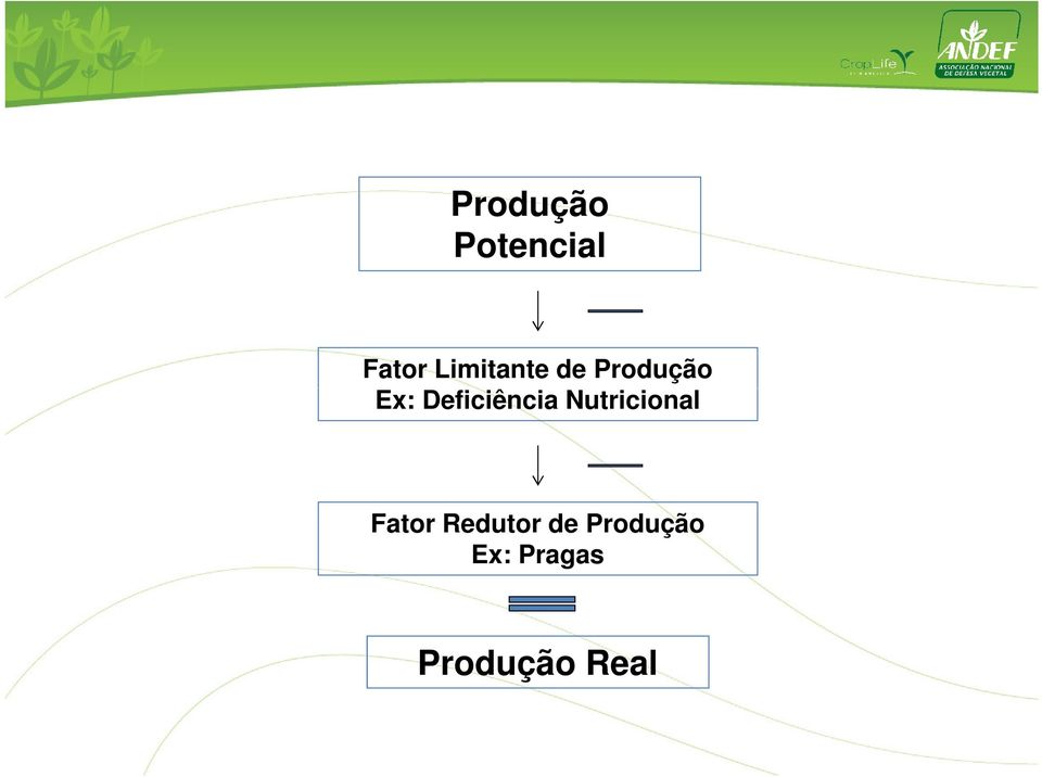 Deficiência Nutricional Fator