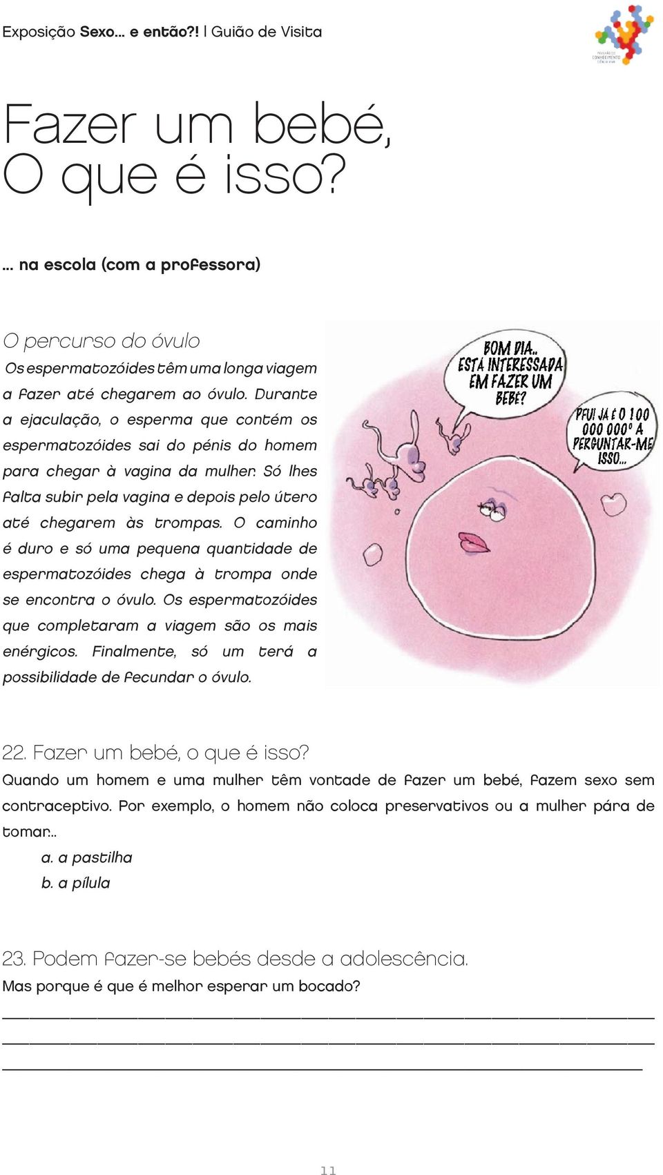 O caminho é duro e só uma pequena quantidade de espermatozóides chega à trompa onde se encontra o óvulo. Os espermatozóides que completaram a viagem são os mais enérgicos.