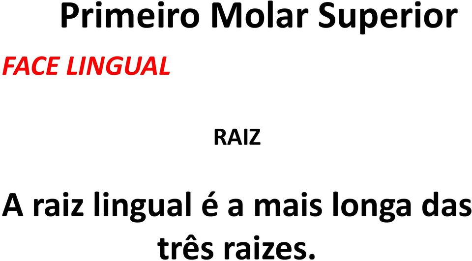 lingual é a