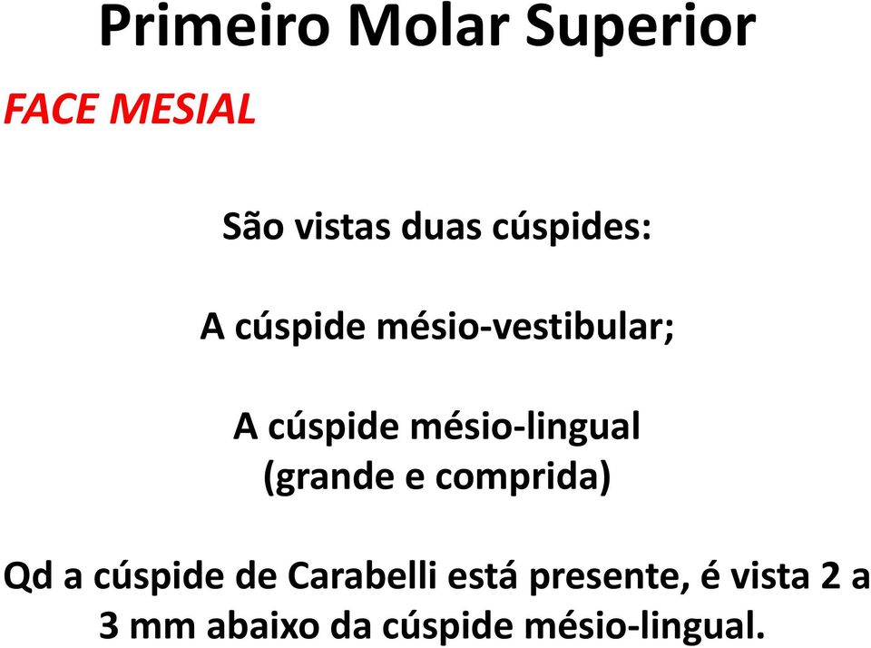 e comprida) Qd a cúspide de Carabelli está