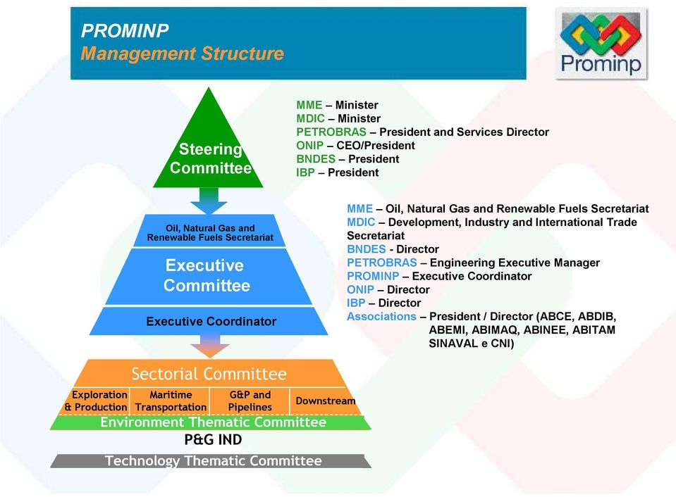 BNDES - Director PETROBRAS Engineering Executive Manager PROMINP Executive Coordinator ONIP Director IBP Director Associations President / Director (ABCE, ABDIB, ABEMI, ABIMAQ, ABINEE,