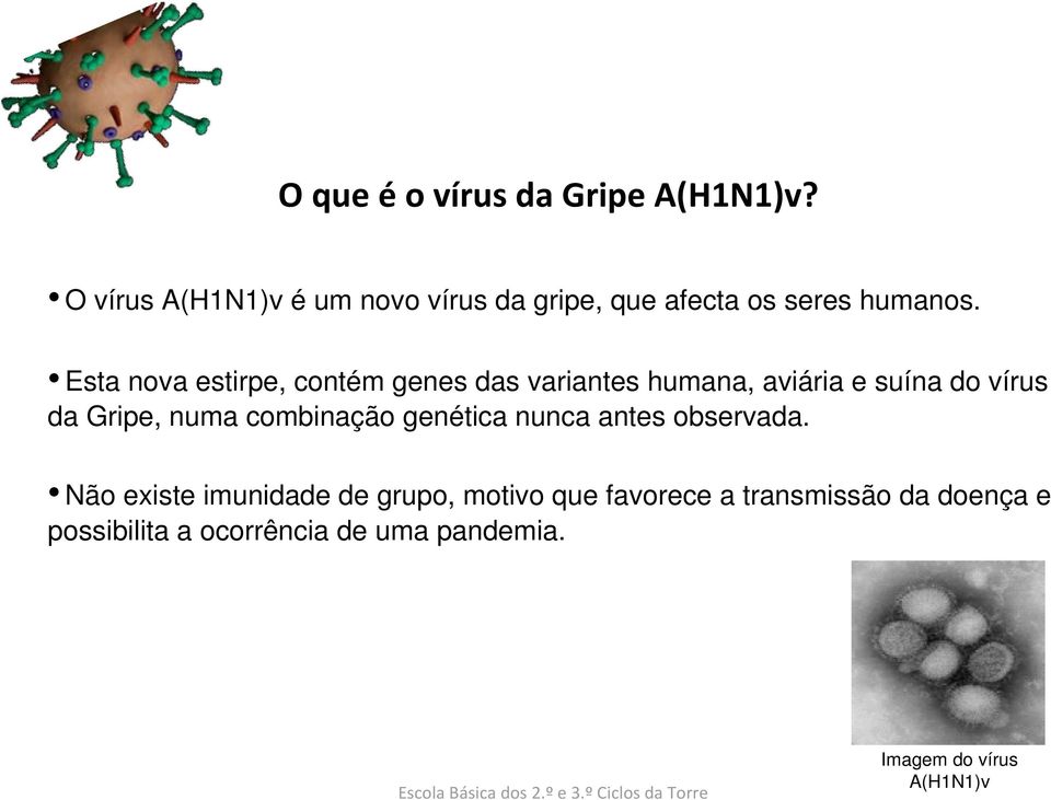 Esta nova estirpe, contém genes das variantes humana, aviária e suína do vírus da Gripe, numa