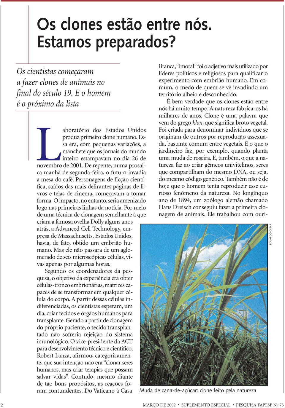 Essa era, com pequenas variações, a manchete que os jornais do mundo inteiro estampavam no dia 26 de novembro de 2001.