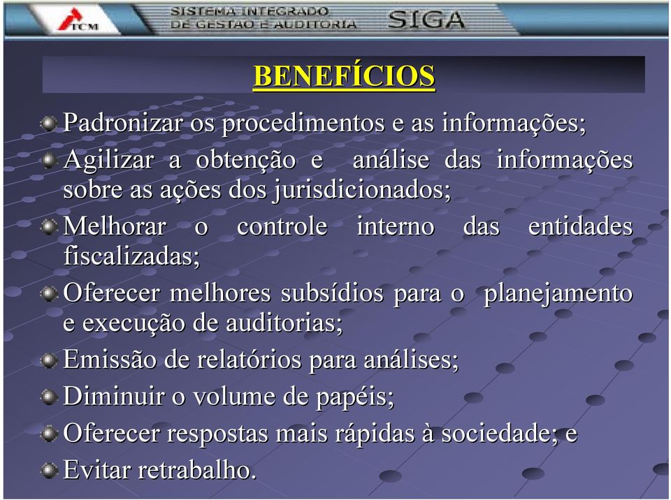 melhores subsídios para o planejamento e execução de auditorias; Emissão de relatórios rios para