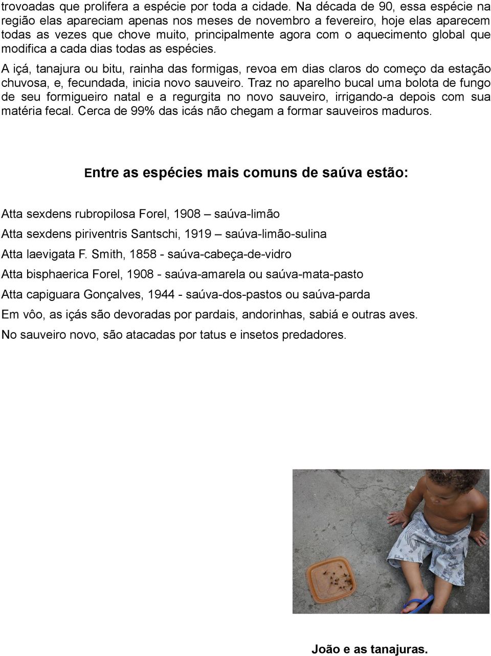 modifica a cada dias todas as espécies. A içá, tanajura ou bitu, rainha das formigas, revoa em dias claros do começo da estação chuvosa, e, fecundada, inicia novo sauveiro.