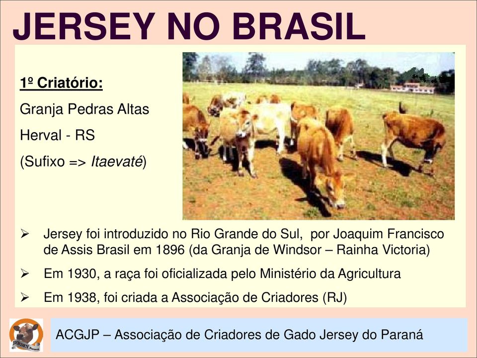 Assis Brasil em 1896 (da Granja de Windsor Rainha Victoria) Em 1930, a raça foi