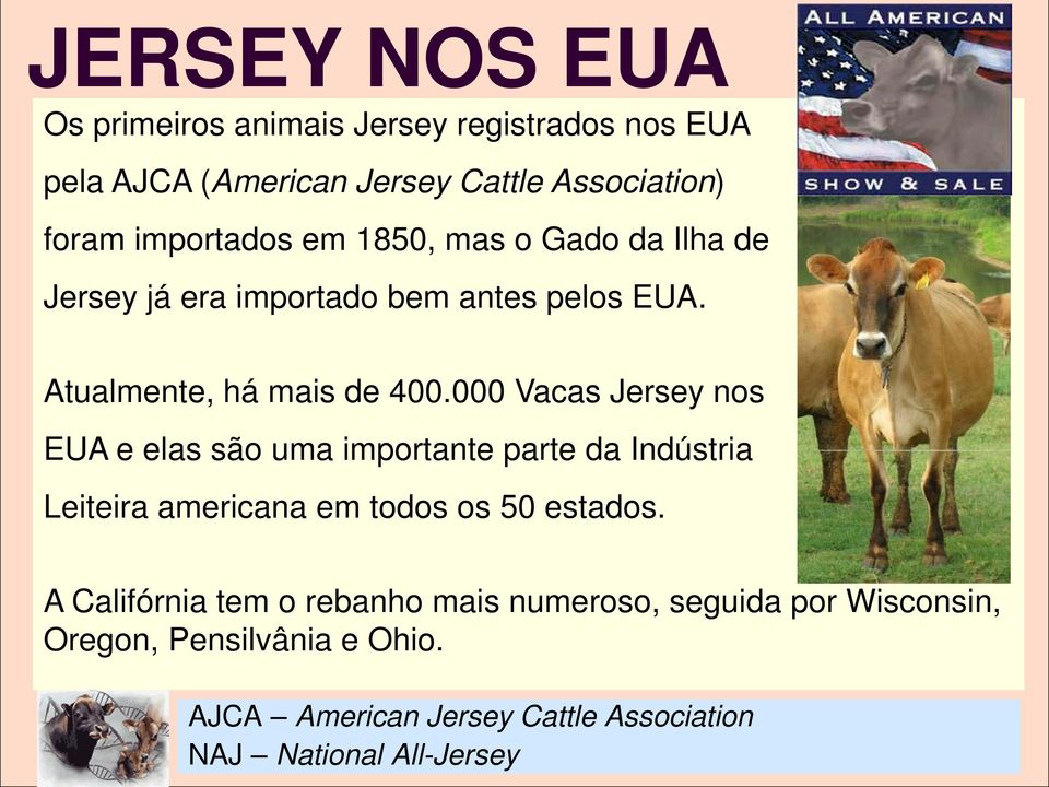 000 Vacas Jersey nos EUA e elas são uma importante parte da Indústria Leiteira americana em todos os 50 estados.