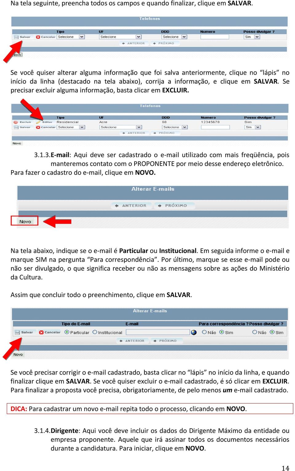 Se precisar excluir alguma informação, basta clicar em EXCLUIR. 3.