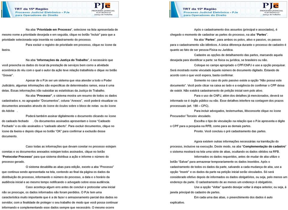 Na aba Informações da Justiça do Trabalho, é necessário que você preencha os dados do local da prestação de serviços bem como a atividade econômica do réu com o qual o autor da ação teve relação