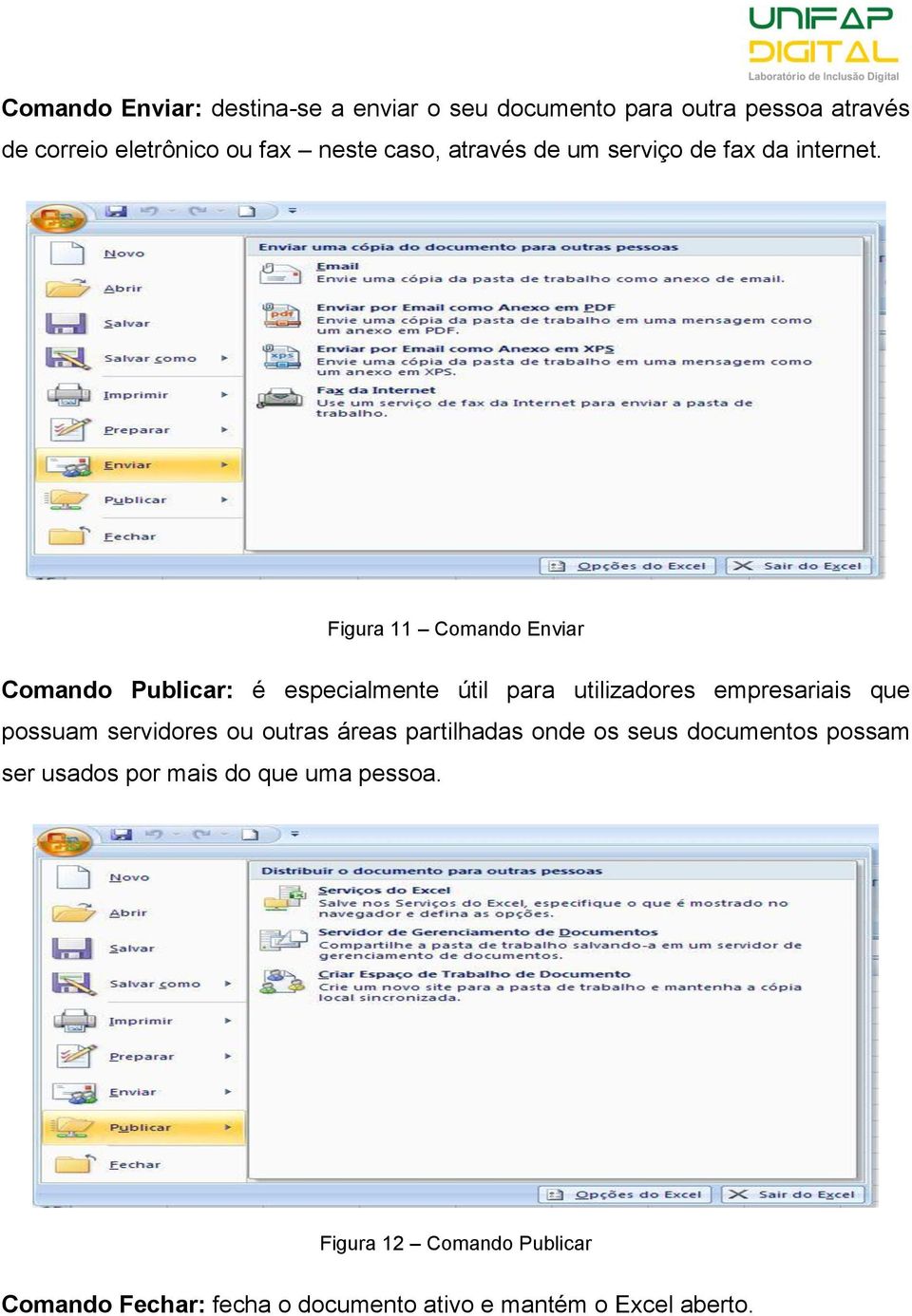 Figura 11 Comando Enviar Comando Publicar: é especialmente útil para utilizadores empresariais que possuam