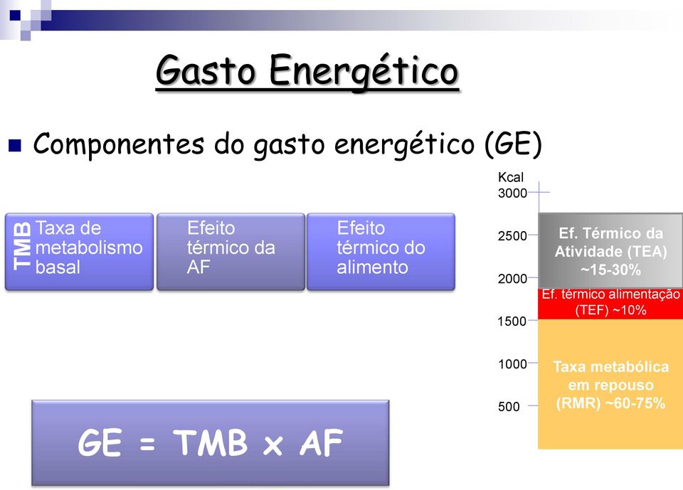 2000 1500 Ef. Térmico da Atividade (TEA) ~15-30% Ef.