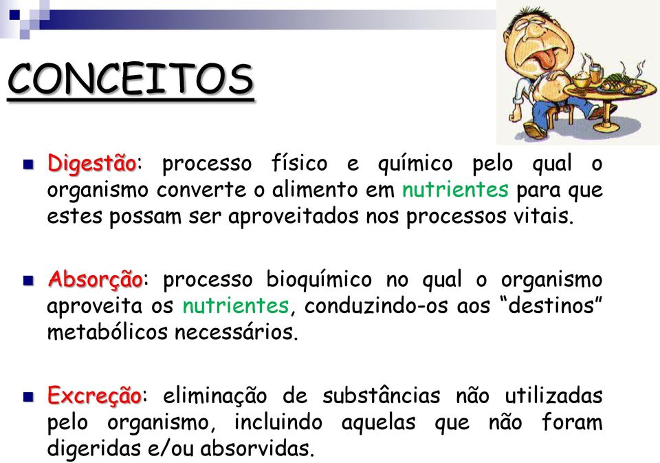 Absorção: processo bioquímico no qual o organismo aproveita os nutrientes, conduzindo-os aos destinos