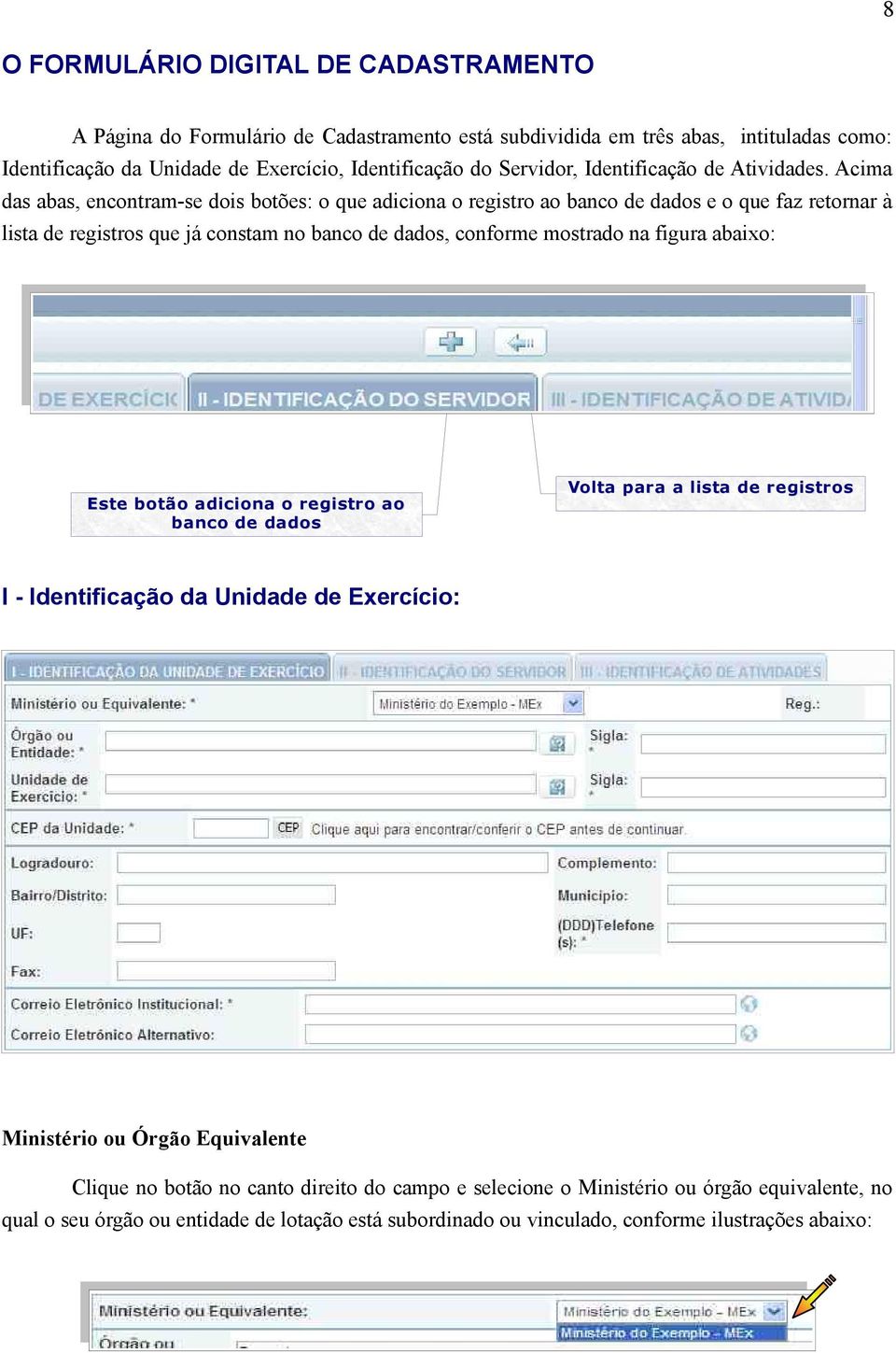 Acima das abas, encontram-se dois botões: o que adiciona o registro ao banco de dados e o que faz retornar à lista de registros que já constam no banco de dados, conforme mostrado na figura