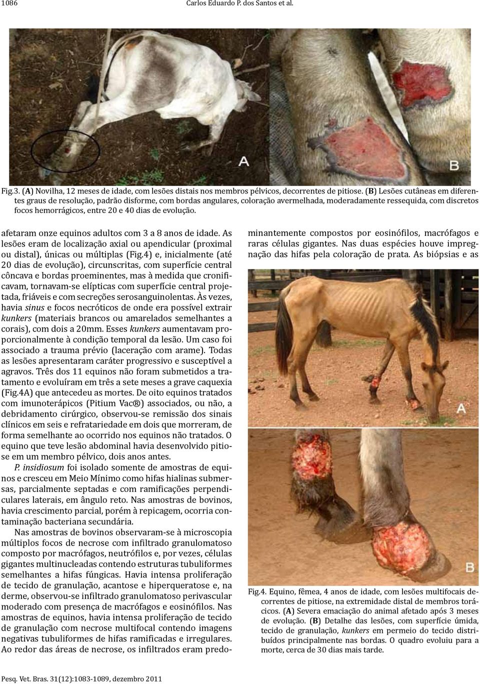 evolução. afetaram onze equinos adultos com 3 a 8 anos de idade. As lesões eram de localização axial ou apendicular (proximal ou distal), únicas ou múltiplas (Fig.