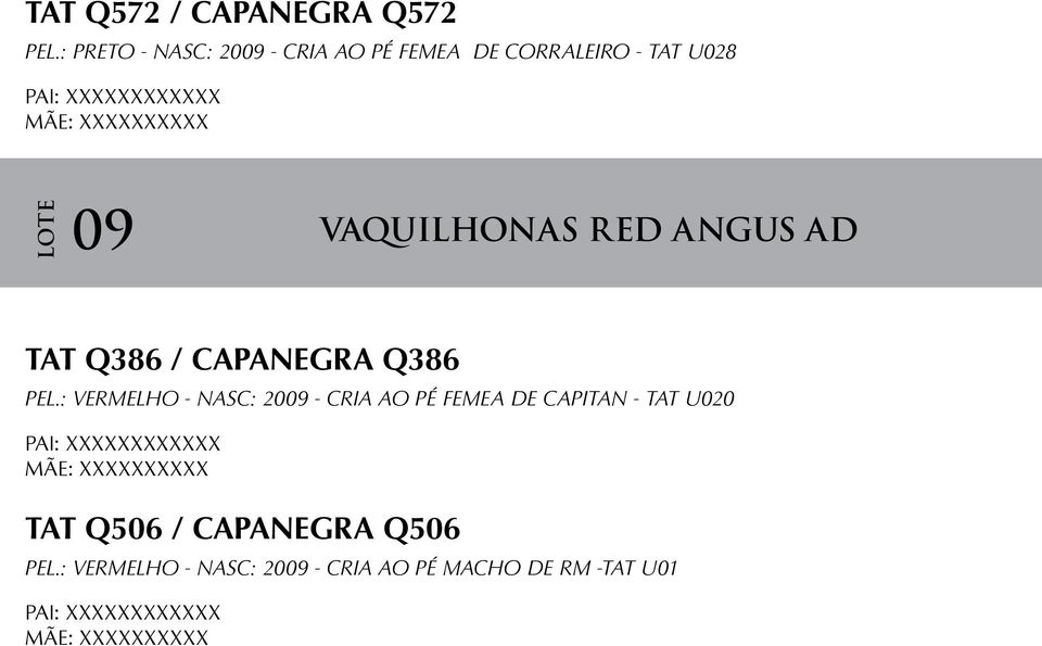LOTE 09 vaquilhonas red angus ad TAT Q386 / CAPANEGRA Q386 PEL.