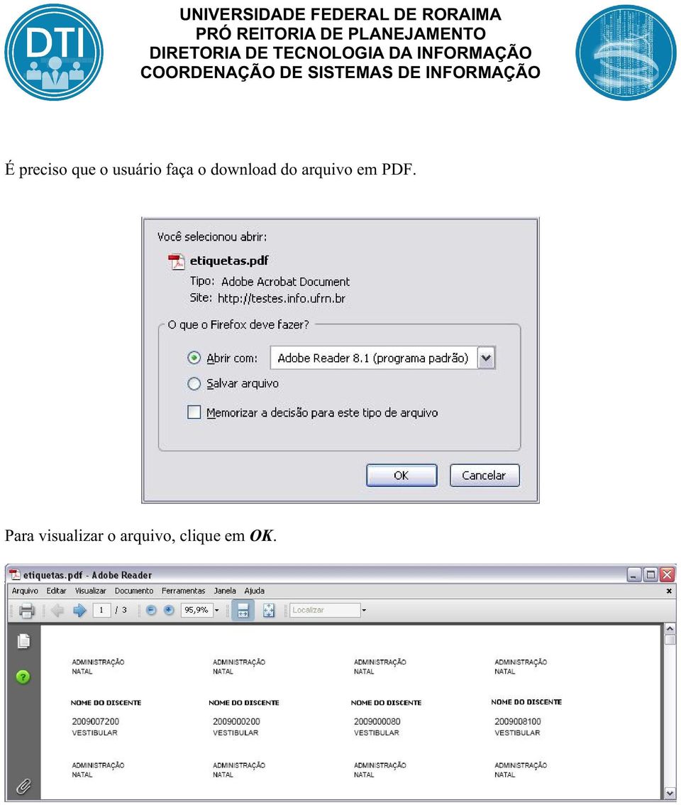 arquivo em PDF.