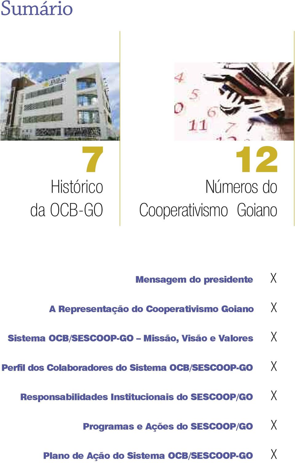 Perfil dos Colaboradores do Sistema OCB/SESCOOP-GO Responsabilidades Institucionais do