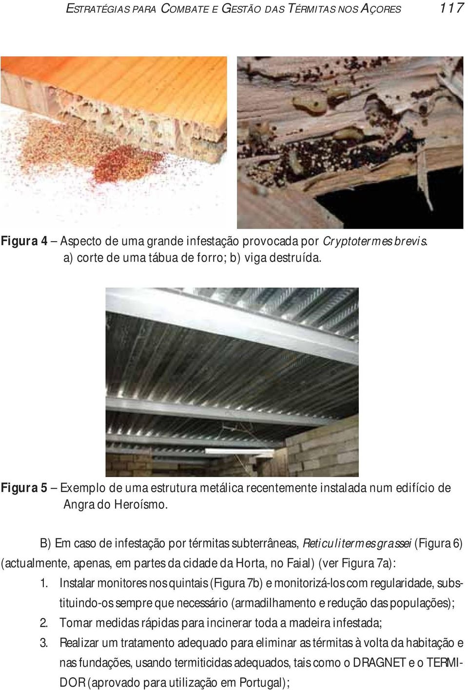 B) Em caso de infestação por térmitas subterrâneas, Reticulitermes grassei (Figura 6) (actualmente, apenas, em partes da cidade da Horta, no Faial) (ver Figura 7a): 1.