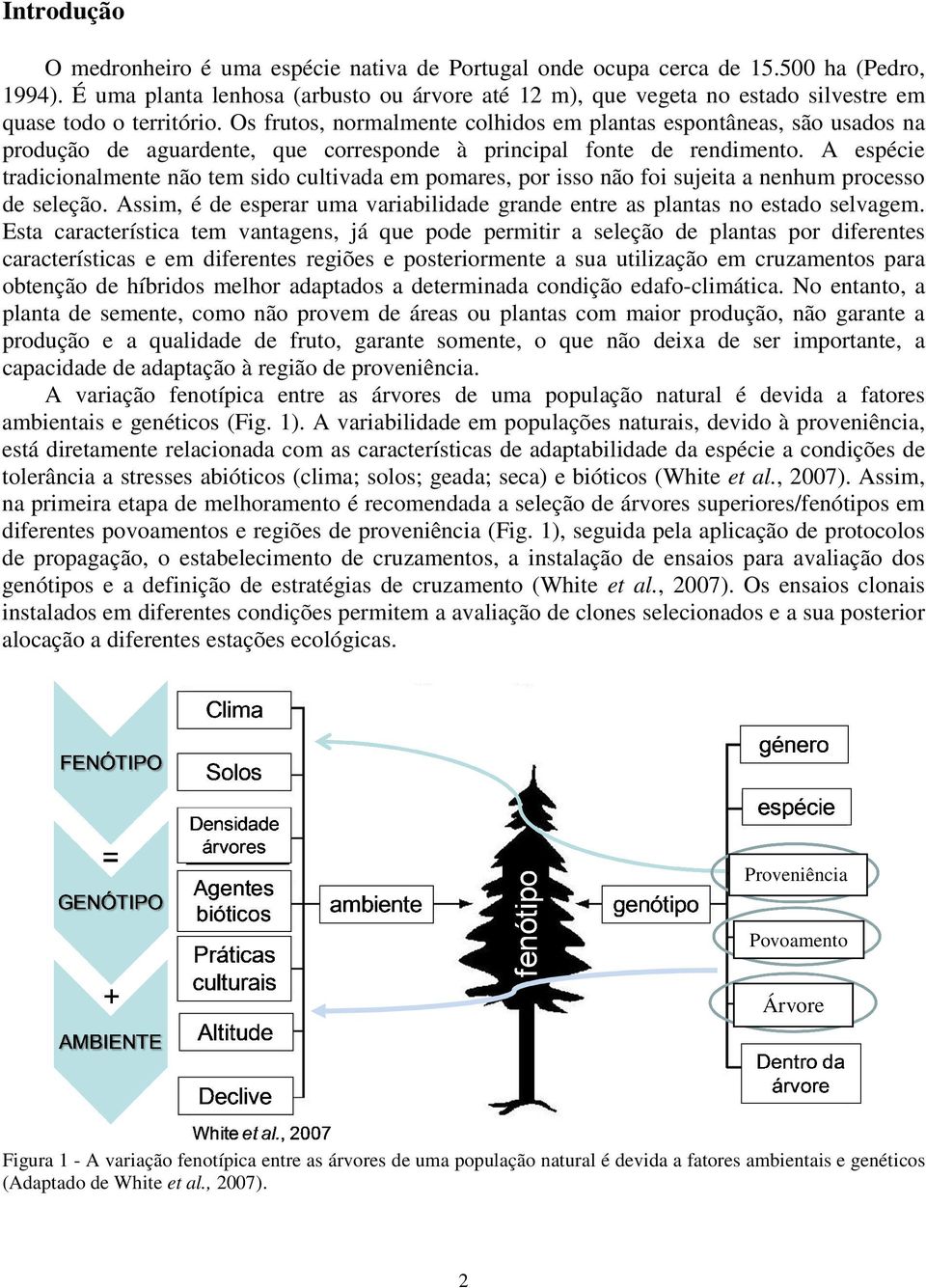 A espéie trdiionlmente não tem sido ultivd em pomres, por isso não foi sujeit nenhum proesso de seleção. Assim, é de esperr um vriilidde grnde entre s plnts no estdo selvgem.