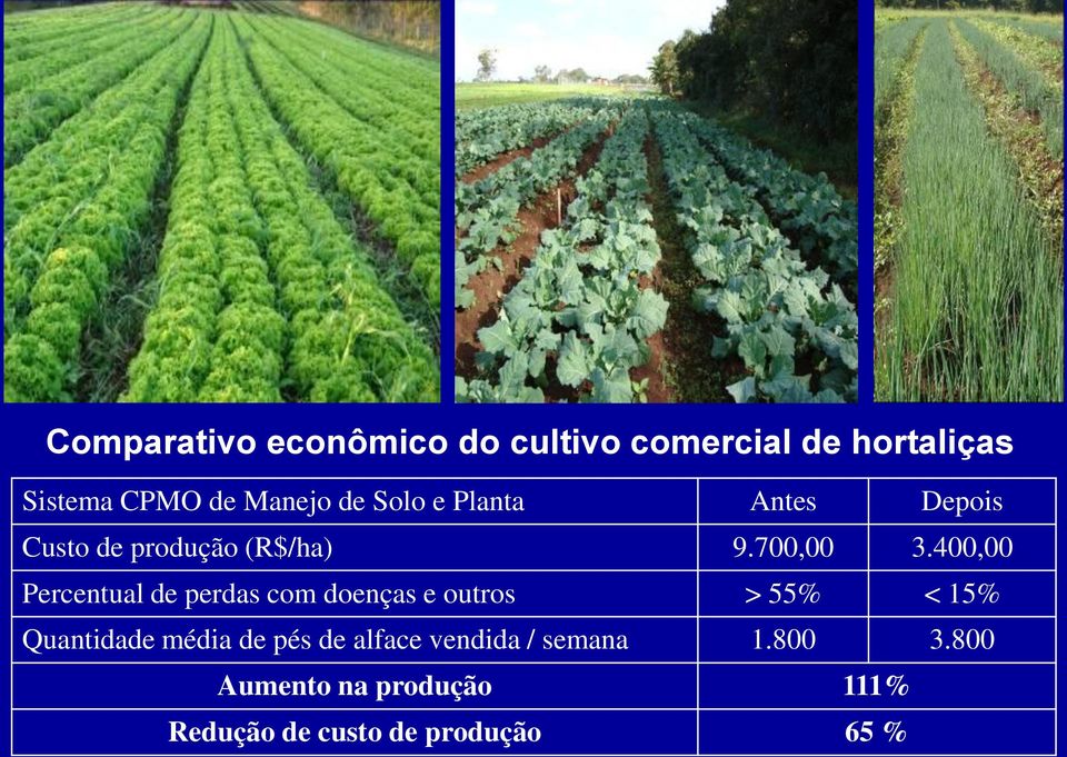 400,00 Percentual de perdas com doenças e outros > 55% < 15% Quantidade média de