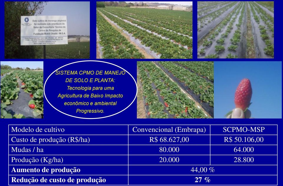 Modelo de cultivo Convencional (Embrapa) SCPMO-MSP Custo de produção (R$/ha) R$ 68.