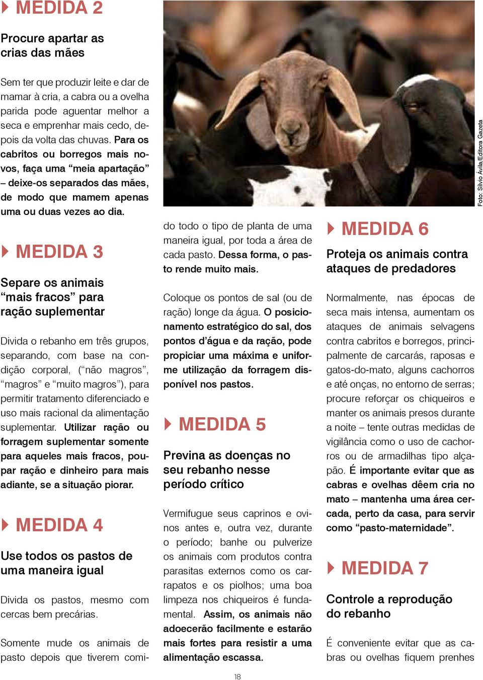 MEDIDA 3 Separe os animais mais fracos para ração suplementar Divida o rebanho em três grupos, separando, com base na condição corporal, ( não magros, magros e muito magros ), para permitir