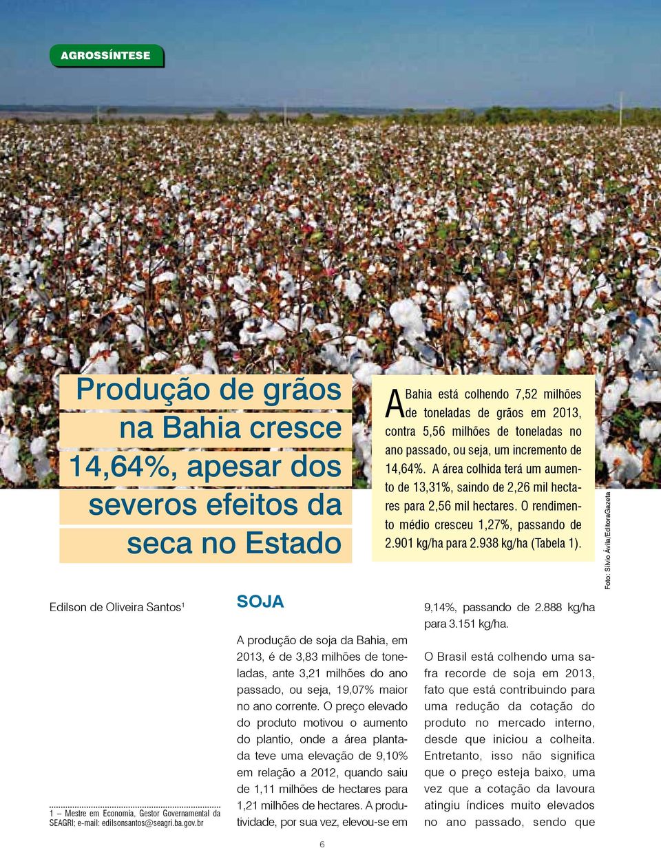 O preço elevado do produto motivou o aumento do plantio, onde a área plantada teve uma elevação de 9,10% em relação a 2012, quando saiu de 1,11 milhões de hectares para 1,21 milhões de hectares.