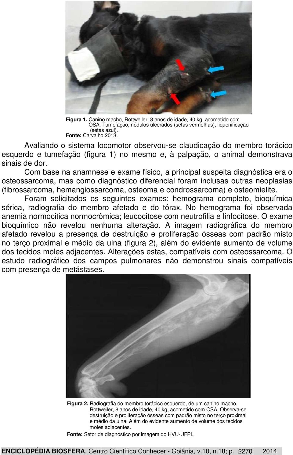 Com base na anamnese e exame físico, a principal suspeita diagnóstica era o osteossarcoma, mas como diagnóstico diferencial foram inclusas outras neoplasias (fibrossarcoma, hemangiossarcoma, osteoma