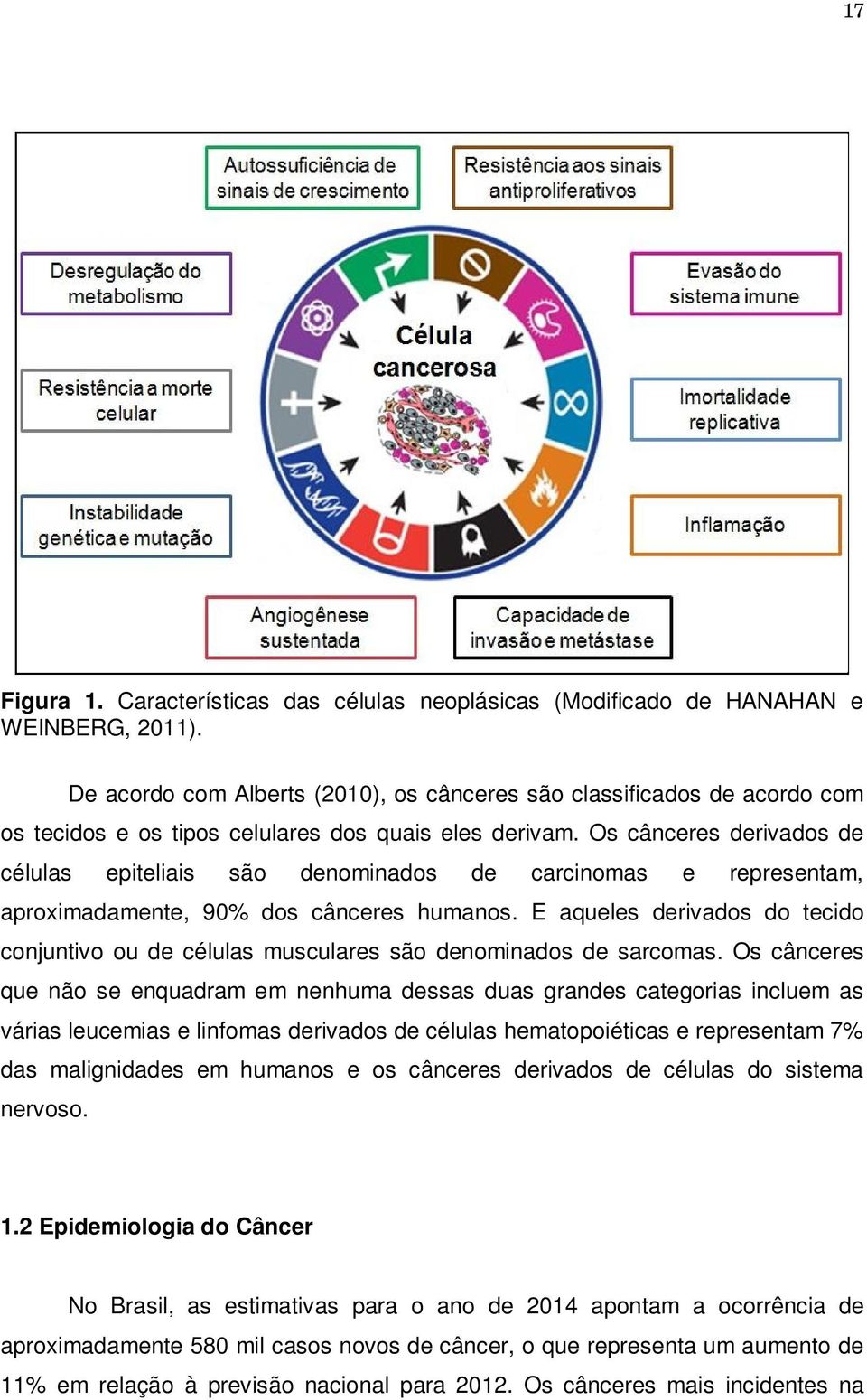 Os cânceres derivados de células epiteliais são denominados de carcinomas e representam, aproximadamente, 90% dos cânceres humanos.