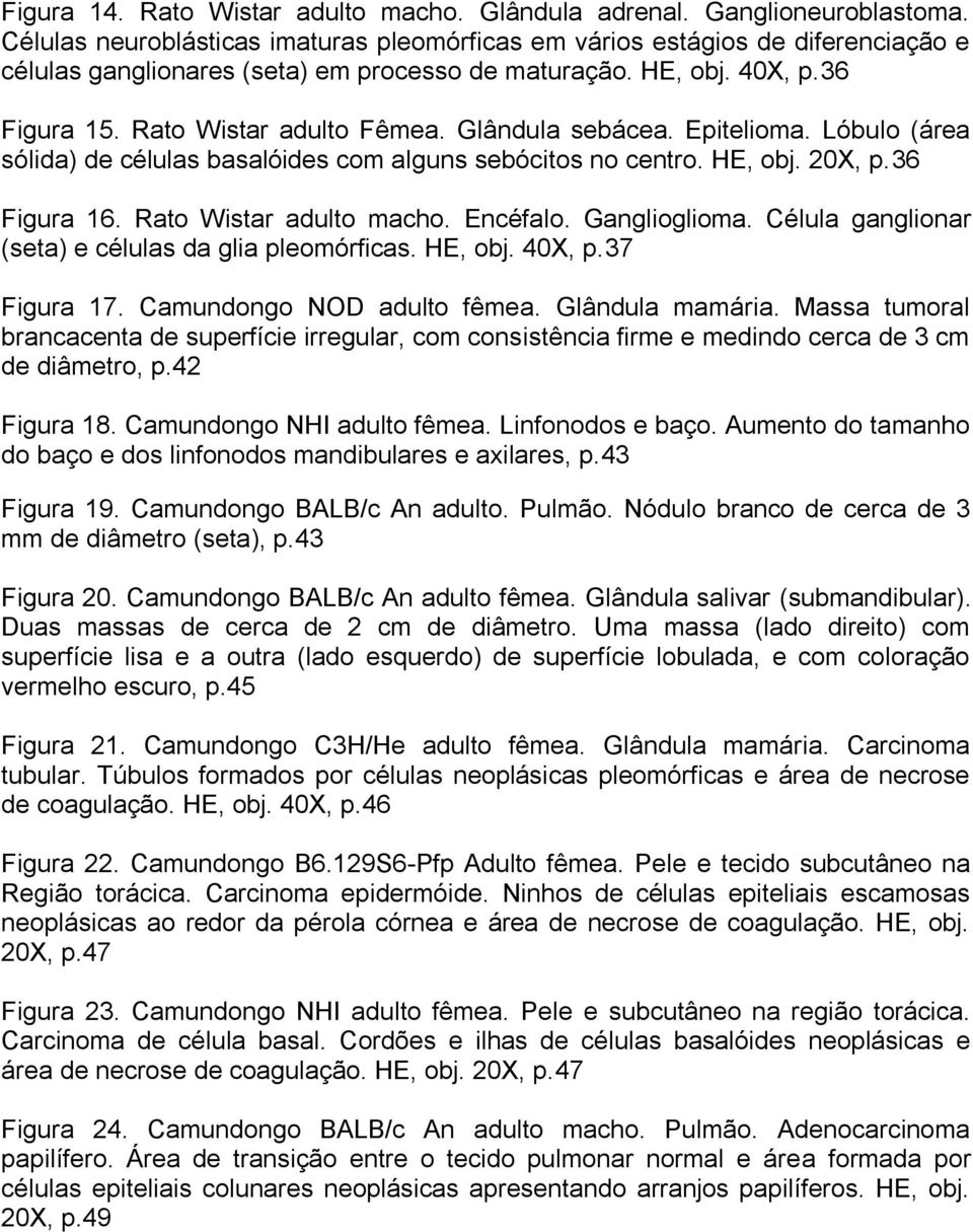 Glândula sebácea. Epitelioma. Lóbulo (área sólida) de células basalóides com alguns sebócitos no centro. HE, obj. 20X, p.36 Figura 16. Rato Wistar adulto macho. Encéfalo. Ganglioglioma.