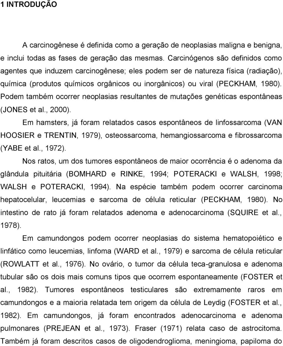 Podem também ocorrer neoplasias resultantes de mutações genéticas espontâneas (JONES et al., 2000).