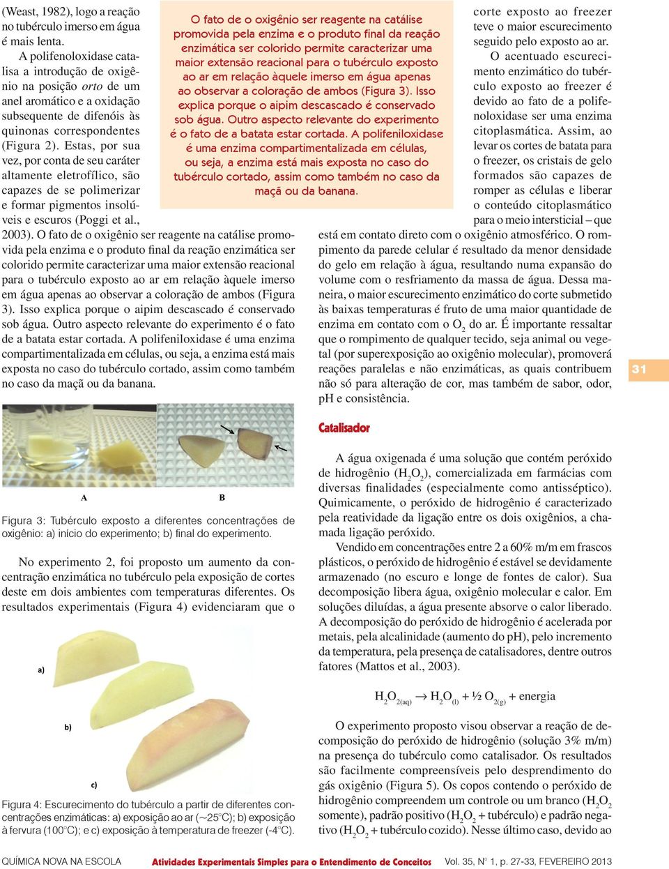 Estas, por sua vez, por conta de seu caráter altamente eletrofílico, são capazes de se polimerizar e formar pigmentos insolúveis e escuros (Poggi et al., 2003).