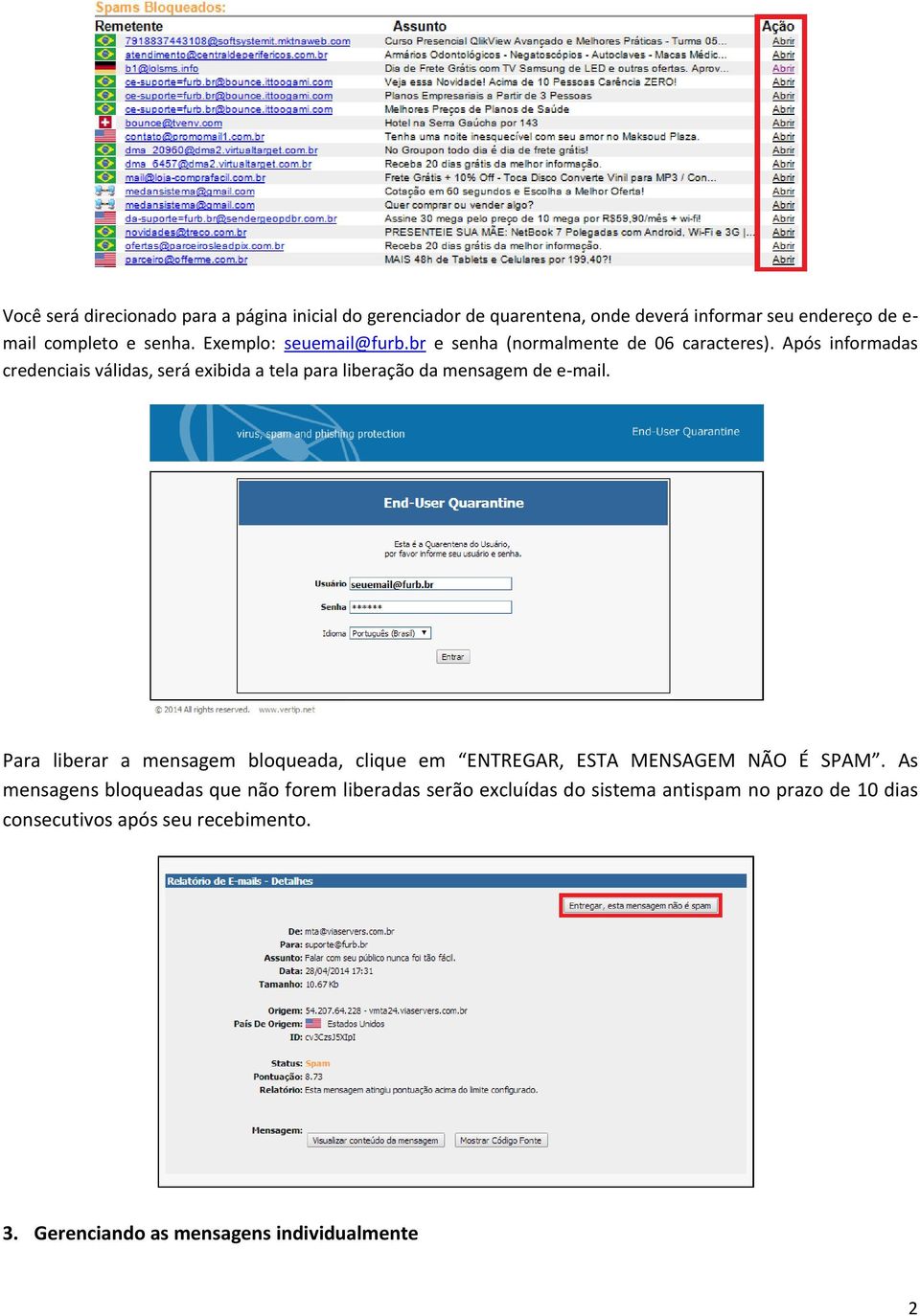 Após informadas credenciais válidas, será exibida a tela para liberação da mensagem de e-mail.