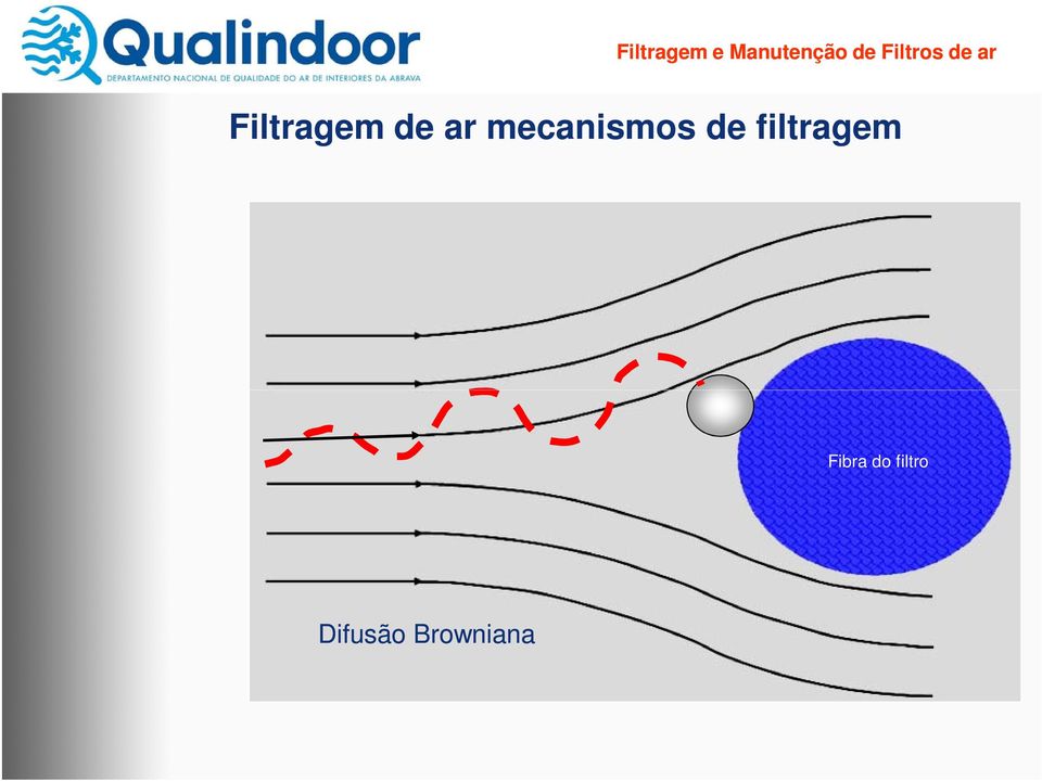 filtragem Fibra do