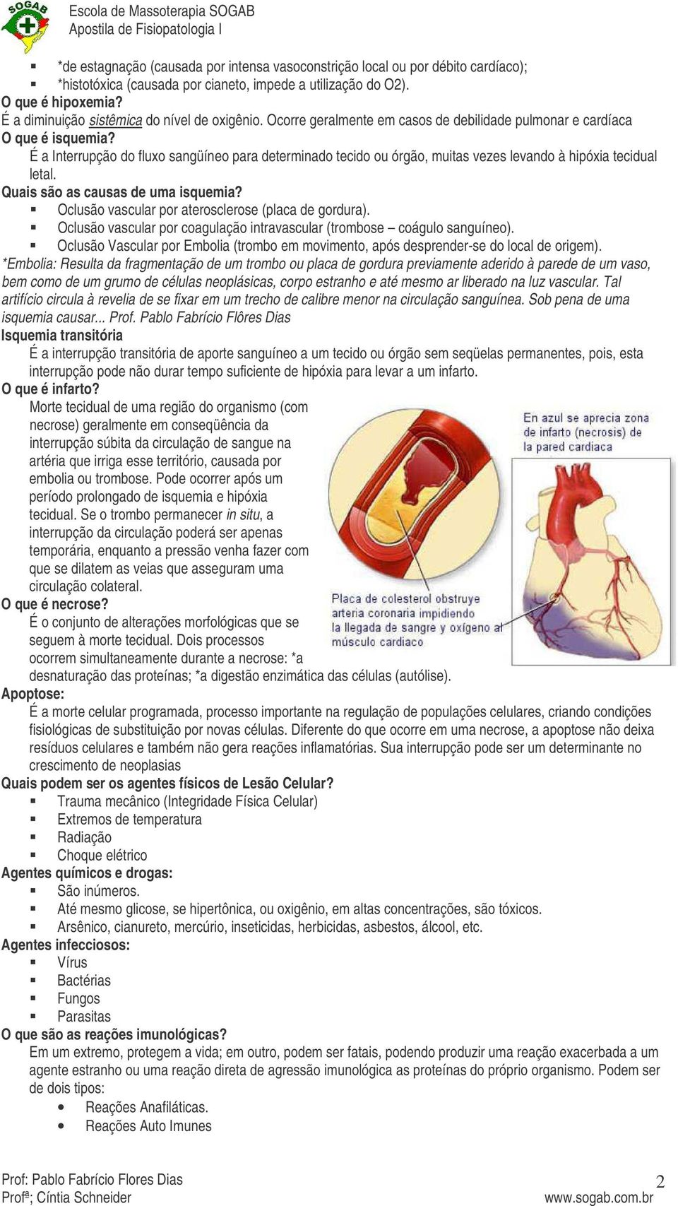 É a Interrupção do fluxo sangüíneo para determinado tecido ou órgão, muitas vezes levando à hipóxia tecidual letal. Quais são as causas de uma isquemia?