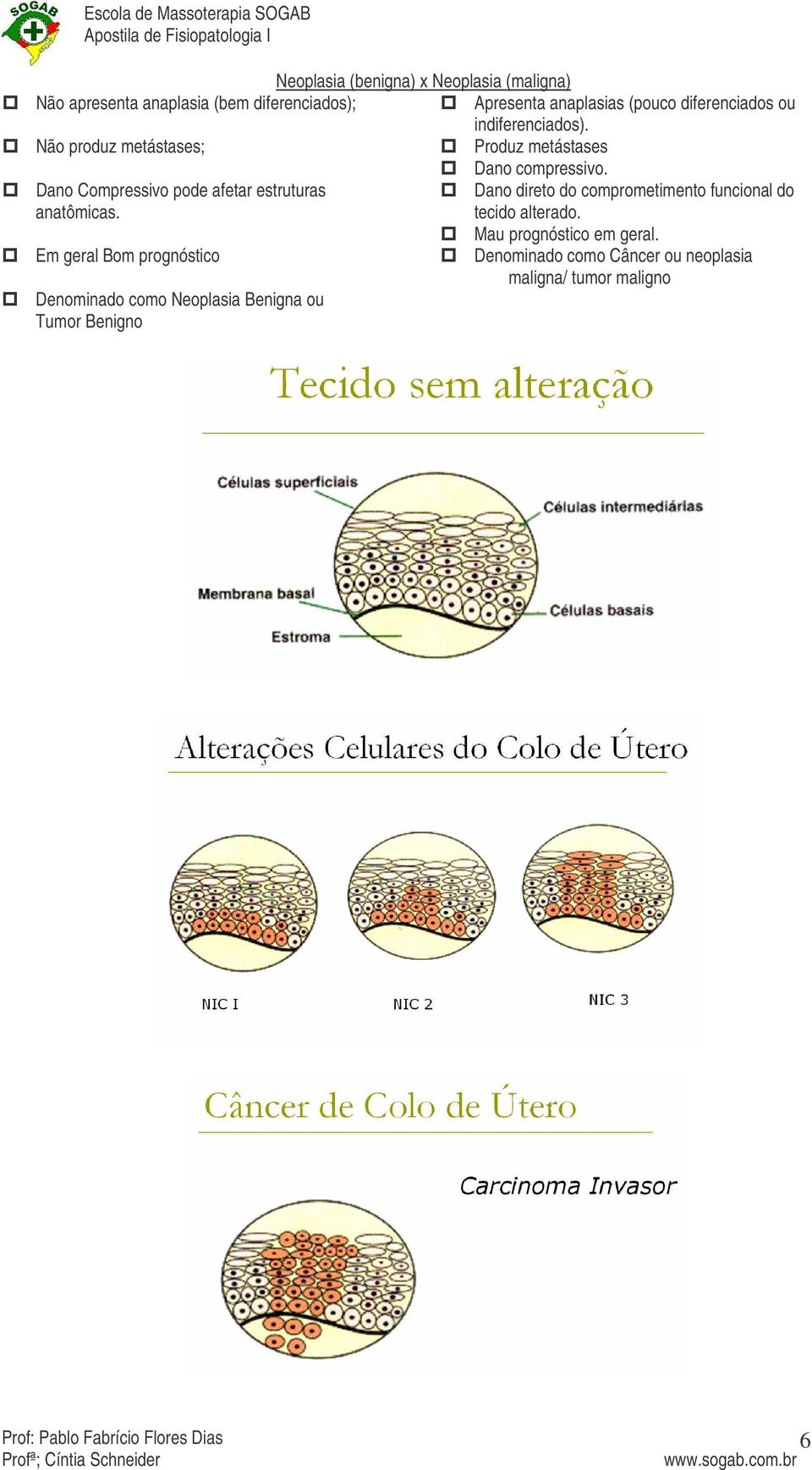 Em geral Bom prognóstico Denominado como Neoplasia Benigna ou Tumor Benigno Apresenta anaplasias (pouco diferenciados ou