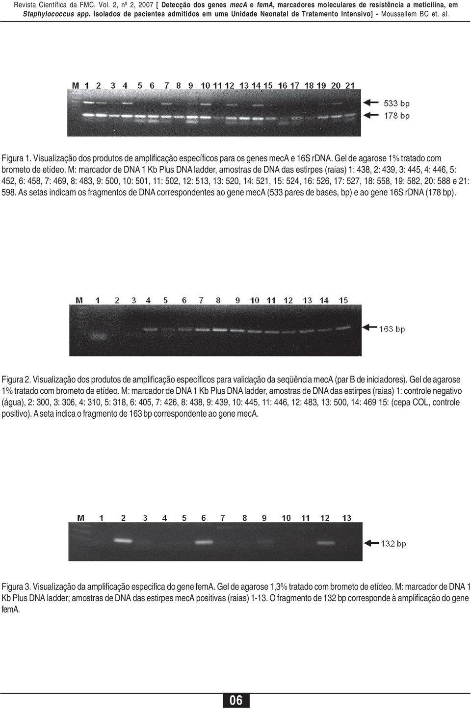 524, 16: 526, 17: 527, 18: 558, 19: 582, 20: 588 e 21: 598. As setas indicam os fragmentos de DNA correspondentes ao gene meca (533 pares de bases, bp) e ao gene 16S rdna (178 bp). Figura 2.