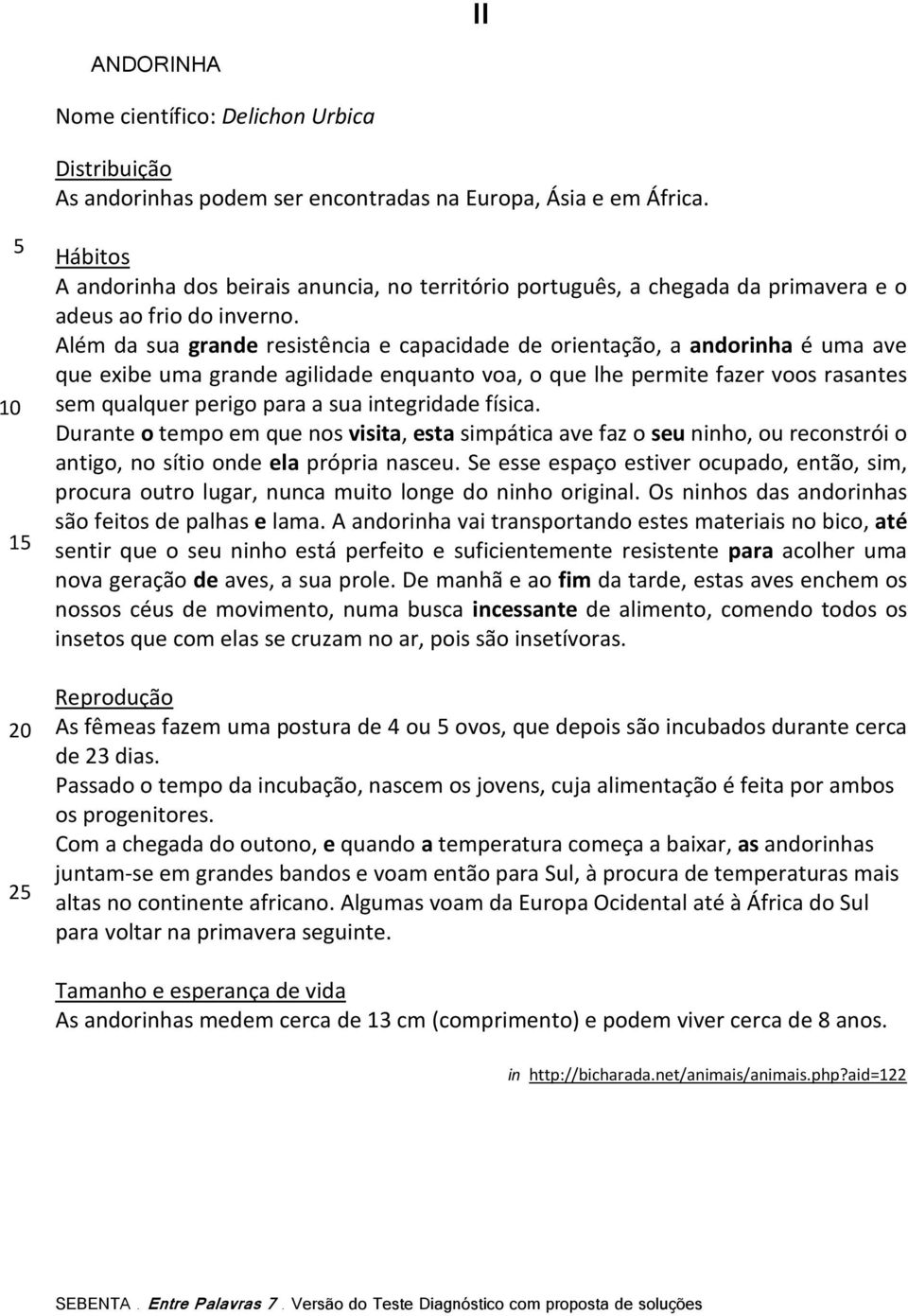 Além da sua grande resistência e capacidade de orientação, a andorinha é uma ave que eibe uma grande agilidade enquanto voa, o que lhe permite fazer voos rasantes sem qualquer perigo para a sua