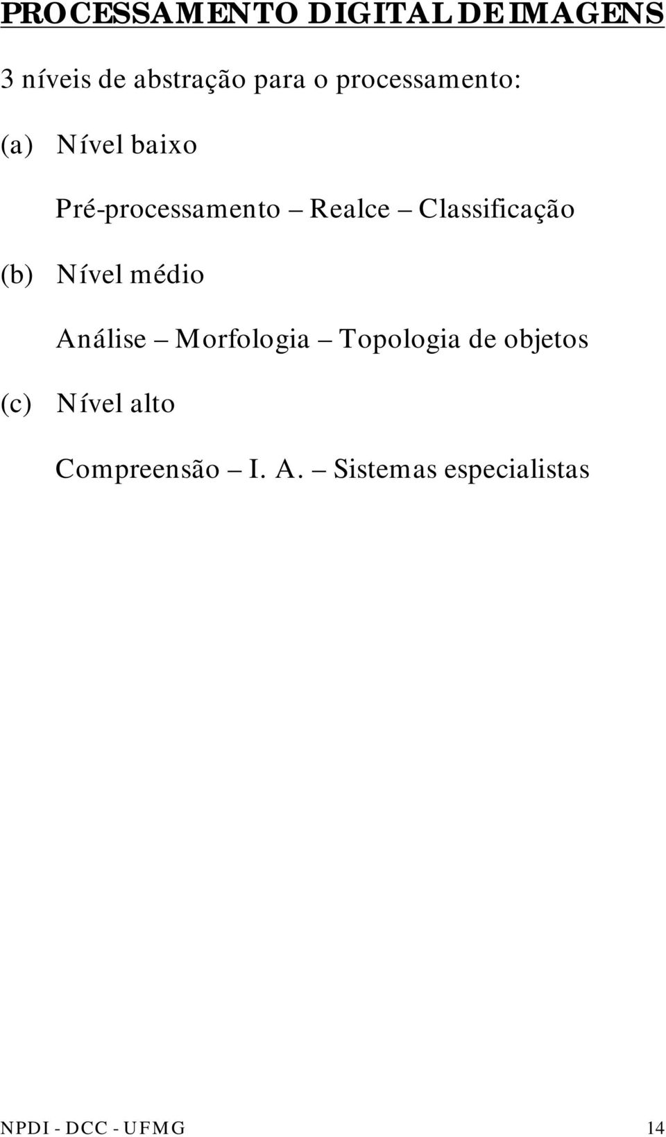 Classificação (b) Nível médio Análise Morfologia Topologia de