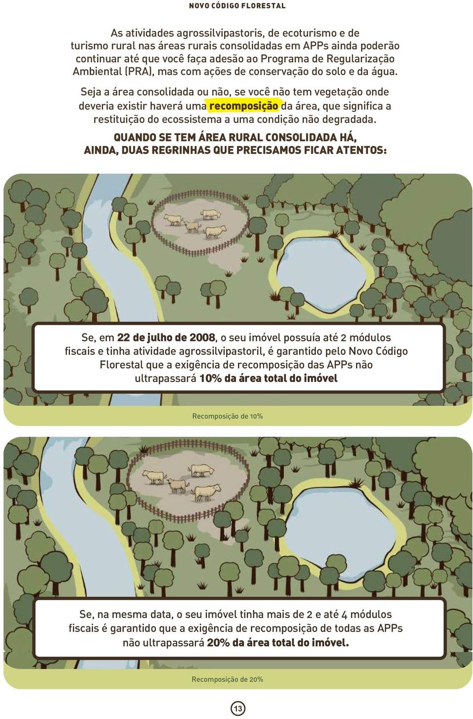 Seja a área consolidada ou não, se você não tem vegetação onde deveria existir haverá uma recomposição da área, que significa a restituição do ecossistema a uma condição não degradada.