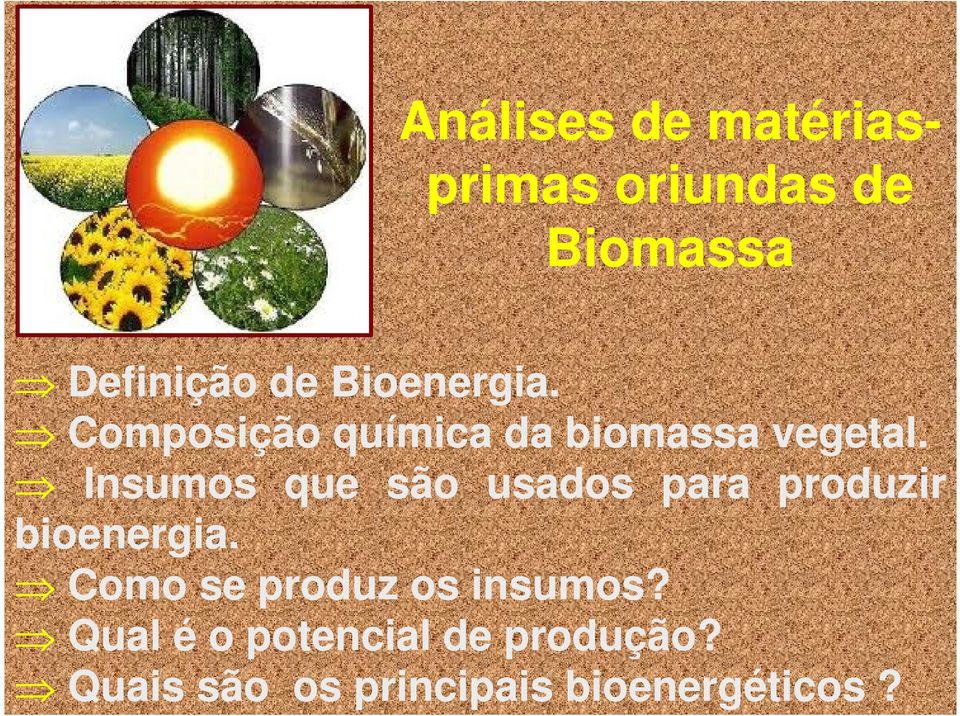 Insumos que são usados para produzir bioenergia.