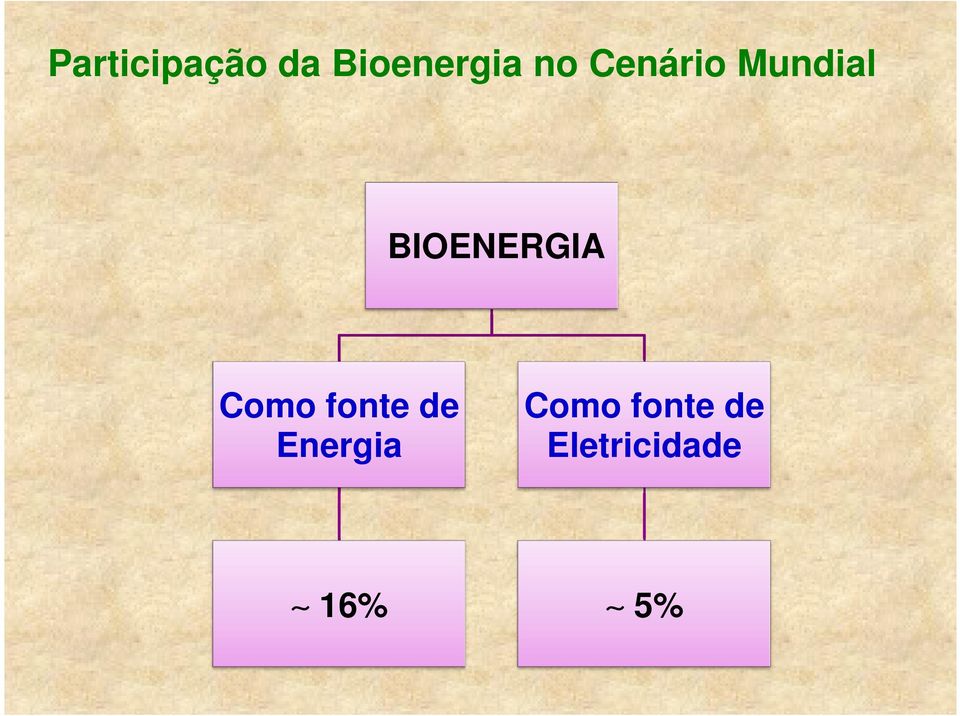 BIOENERGIA Como fonte de