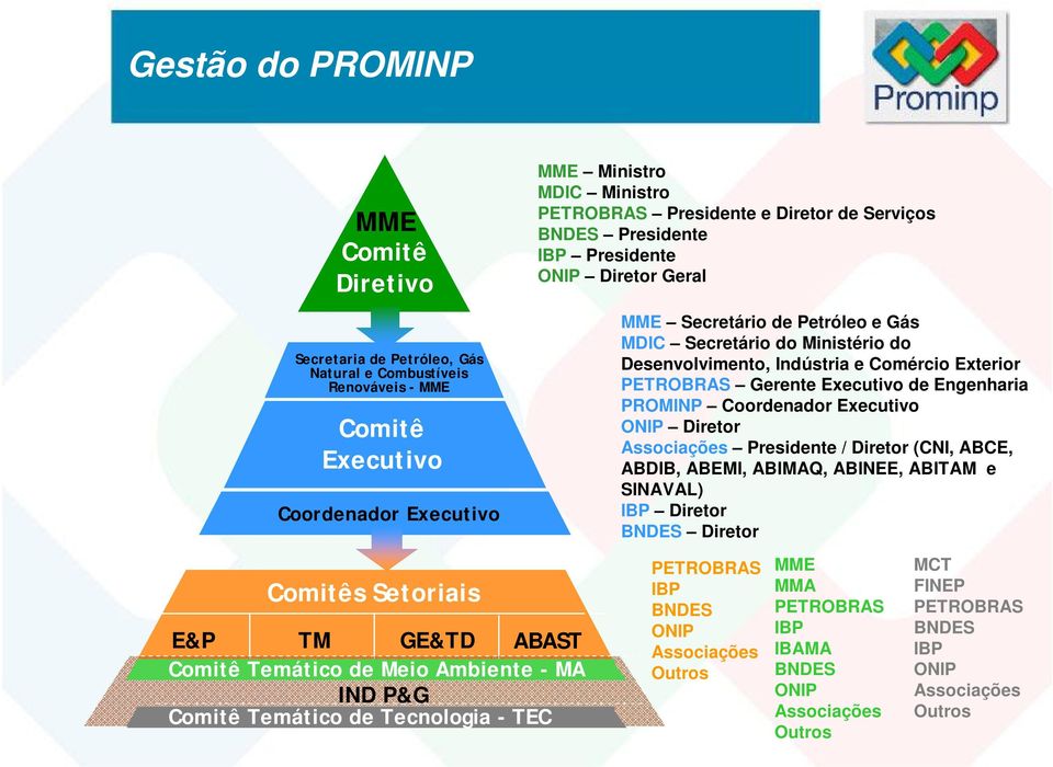 Gerente Executivo de Engenharia PROMINP Coordenador Executivo ONIP Diretor Associações Presidente / Diretor (CNI, ABCE, ABDIB, ABEMI, ABIMAQ, ABINEE, ABITAM e SINAVAL) IBP Diretor BNDES Diretor