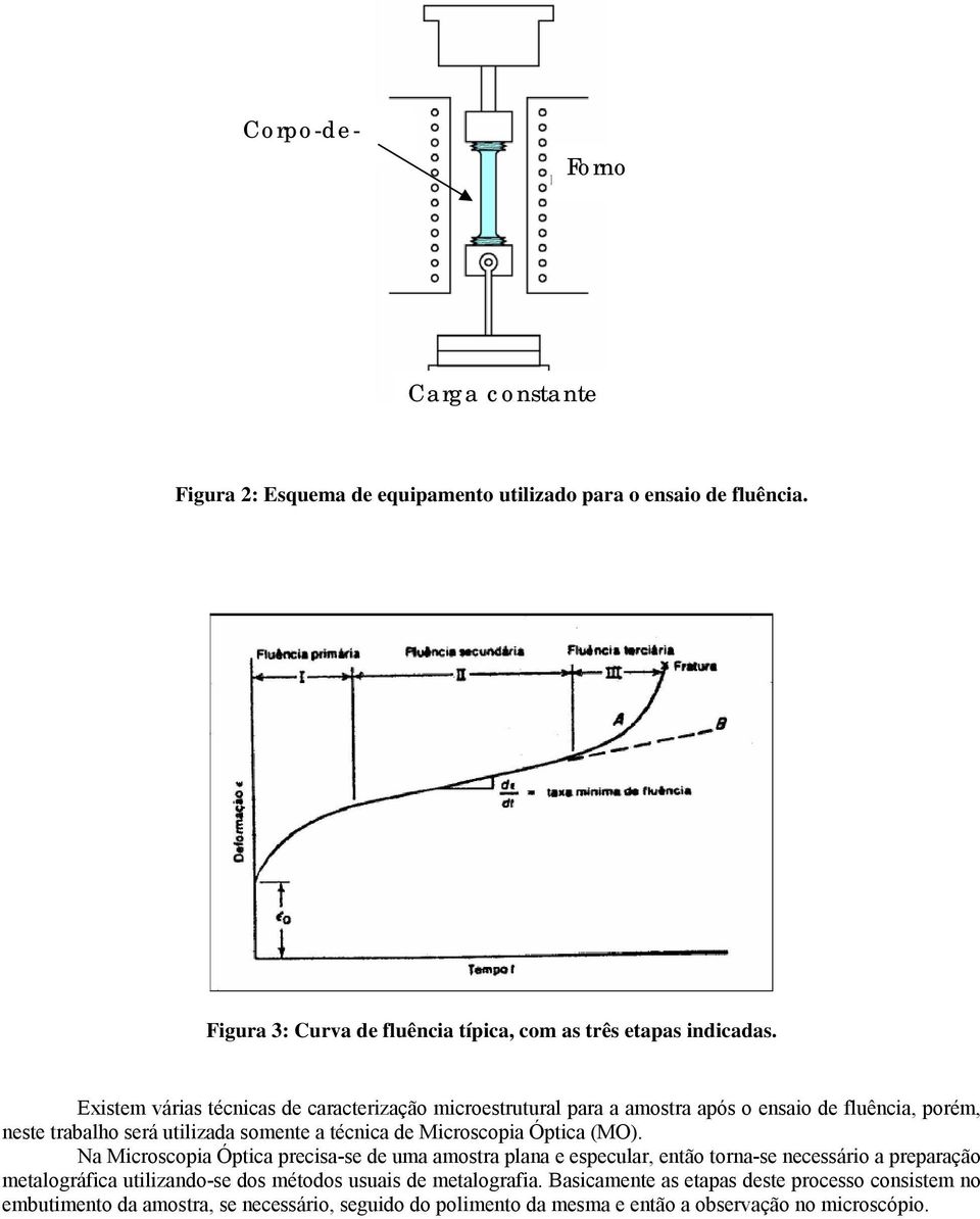 Microscopia Óptica (MO).