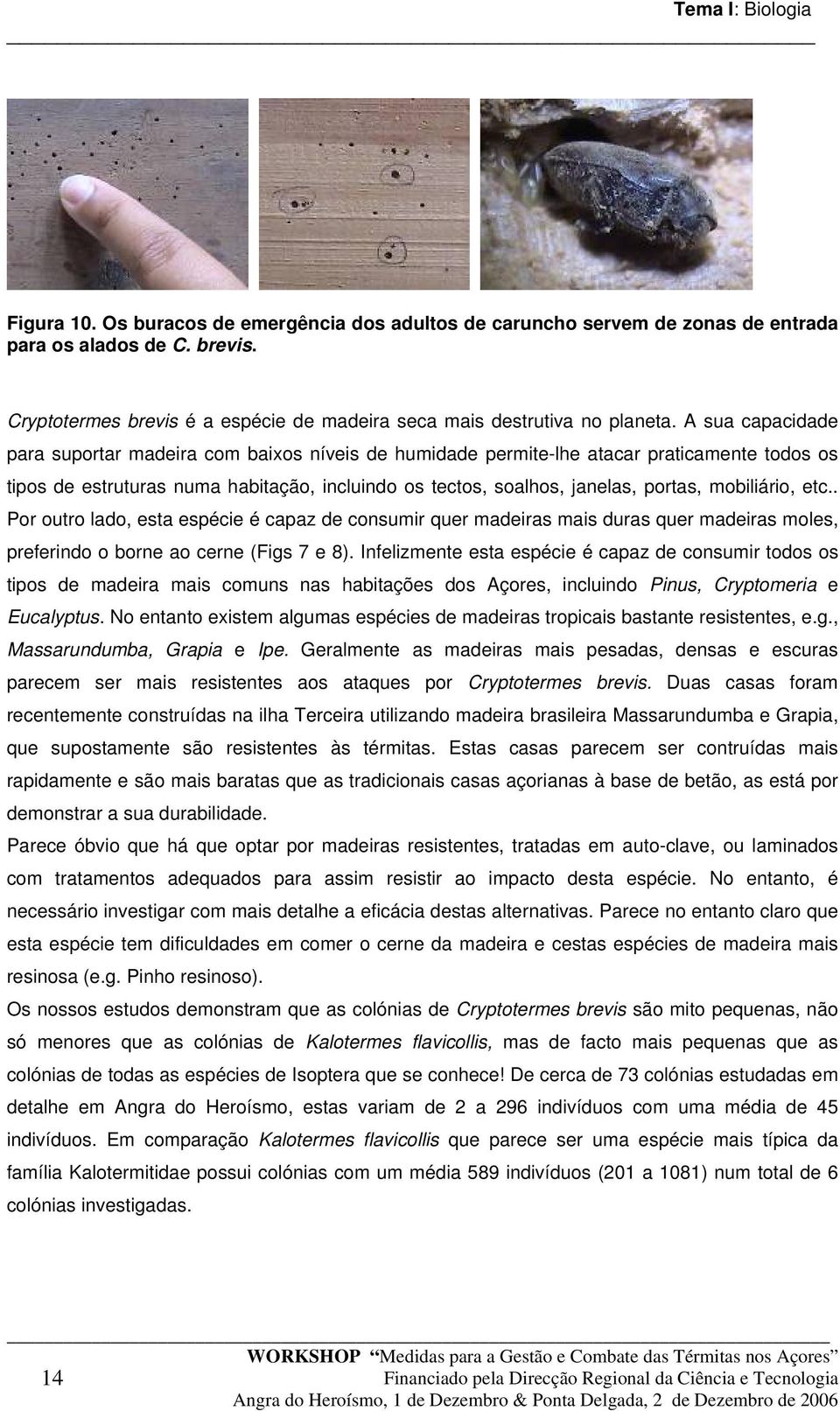 A sua capacidade para suportar madeira com baixos níveis de humidade permite-lhe atacar praticamente todos os tipos de estruturas numa habitação, incluindo os tectos, soalhos, janelas, portas,