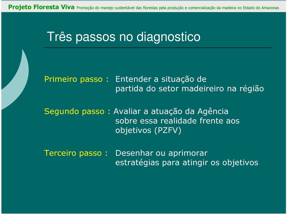 atuação da Agência sobre essa realidade frente aos objetivos (PZFV)