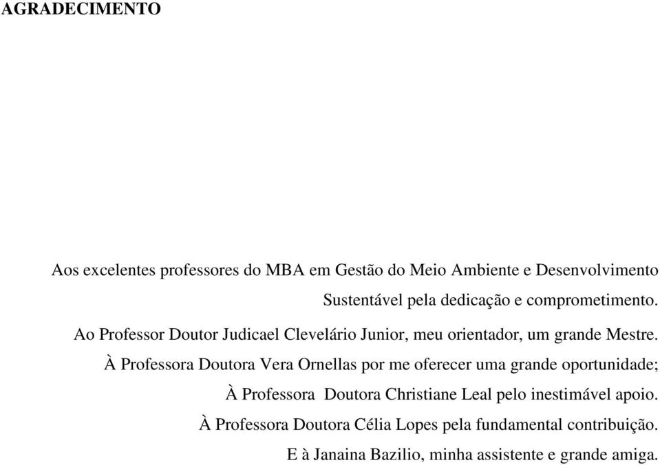 À Professora Doutora Vera Ornellas por me oferecer uma grande oportunidade; À Professora Doutora Christiane Leal pelo